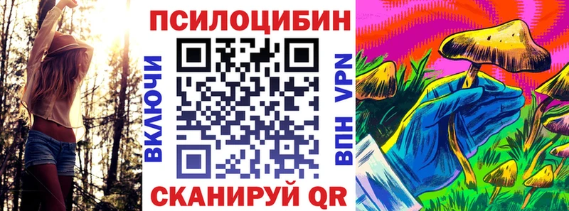 цена наркотик  Шали  Галлюциногенные грибы Cubensis 